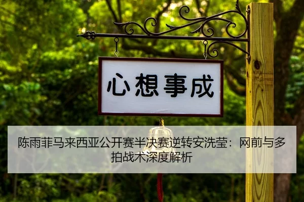 chen-yu-fei-ma-lai-xi-ya-gong-kai-sai-ban-jue-sai-ni-zhuan-an-xi-ying-wang-qian-yu-duo-pai-zhan-shu-shen-du-jie-xi-2-933.jpg