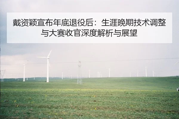 戴资颖宣布年底退役后：生涯晚期技术调整与大赛收官深度解析与展望