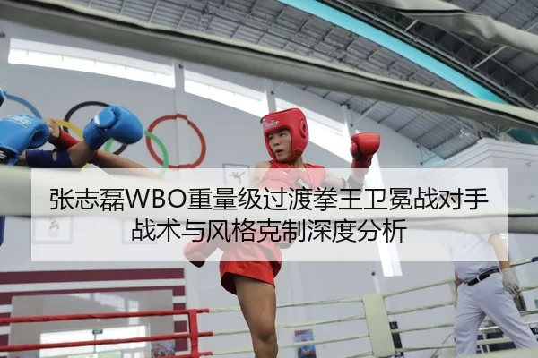 张志磊WBO重量级过渡拳王卫冕战对手战术与风格克制深度分析